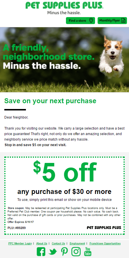 email-newsletter-idea-coupon.png